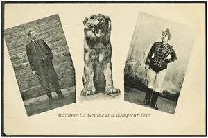 related image